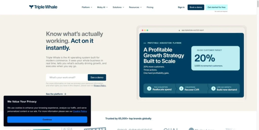 Moby by Triple Whale website screenshot